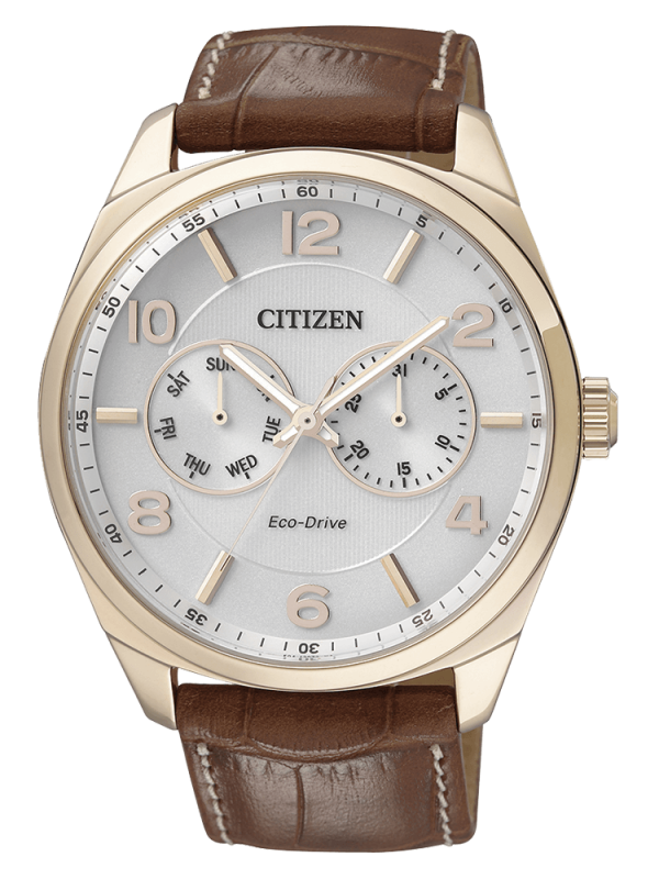  Orologio Uomo Citizen AO9024-16A