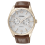  Orologio Uomo Citizen AO9024-16A